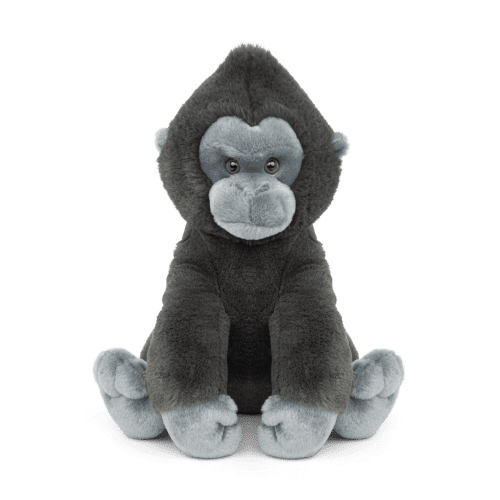 Animal Gorilla Angle Front