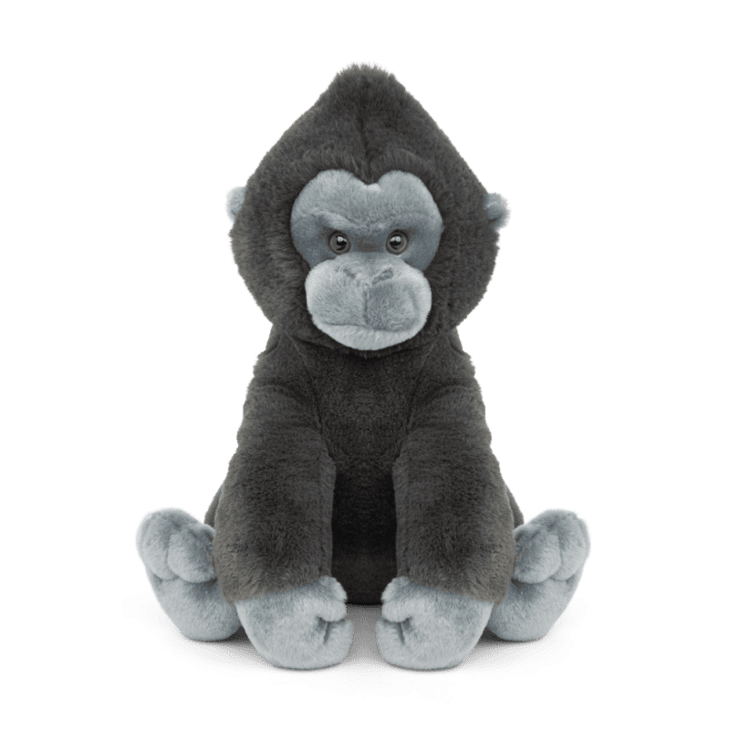 Animal Gorilla Angle Front