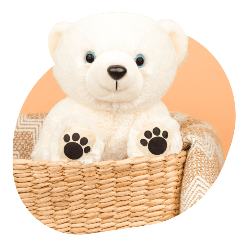 Animal Polar Bear 1